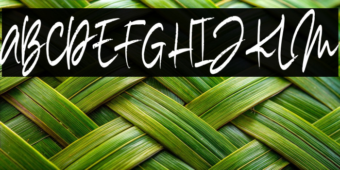 Madigel Personal Use Example 2