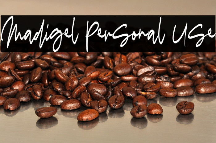 Madigel Personal Use Example 1