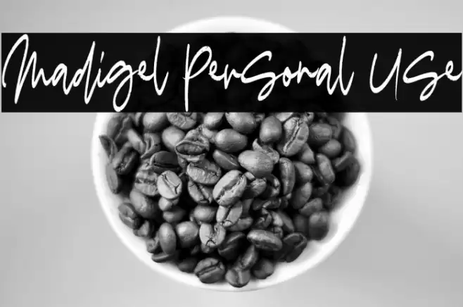Madigel Personal Use Font examples
