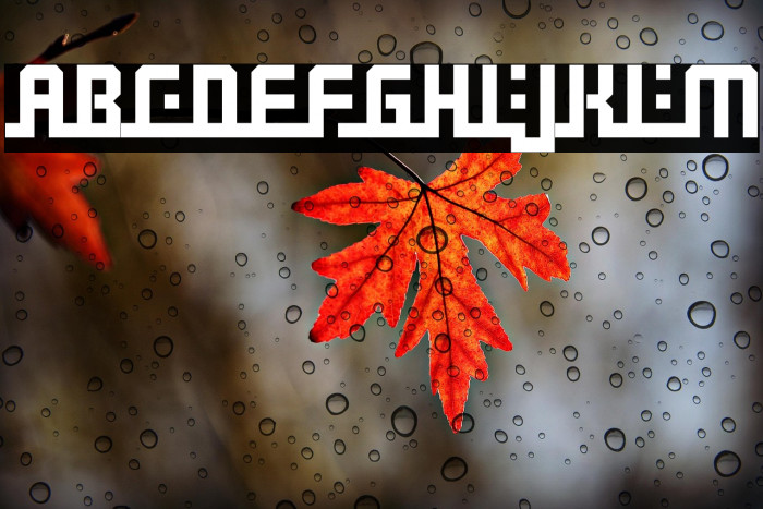 Madina-Regular Example 2