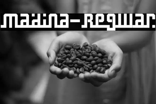 Madina-Regular Font examples