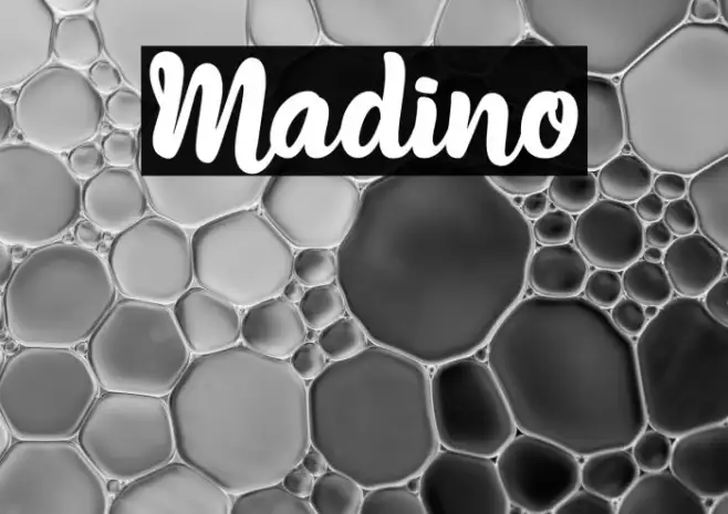 Madino Example 3
