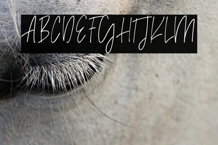 Madison Avenue Example 1