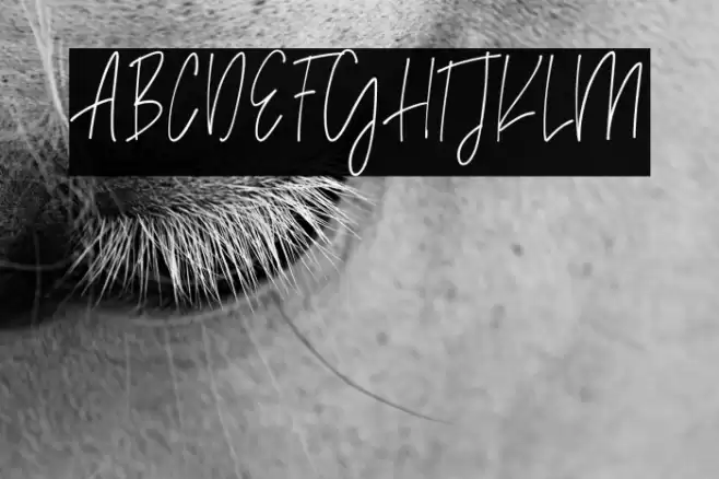 Madison Avenue Font examples