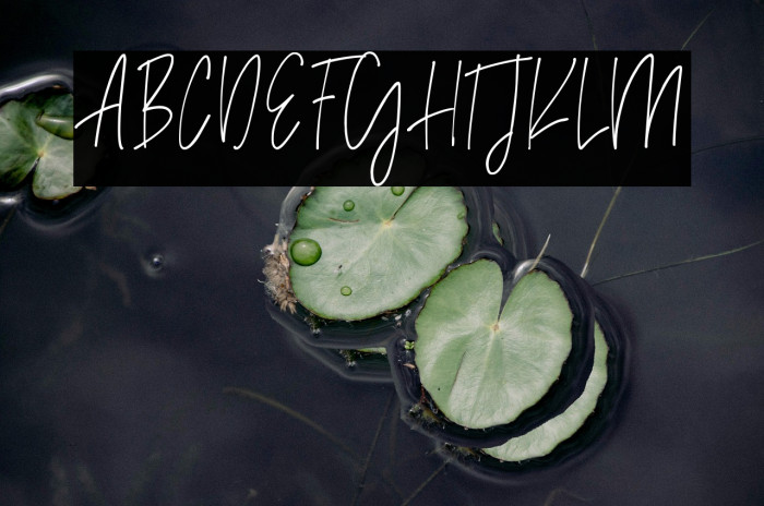 Madison Avenue Example 2