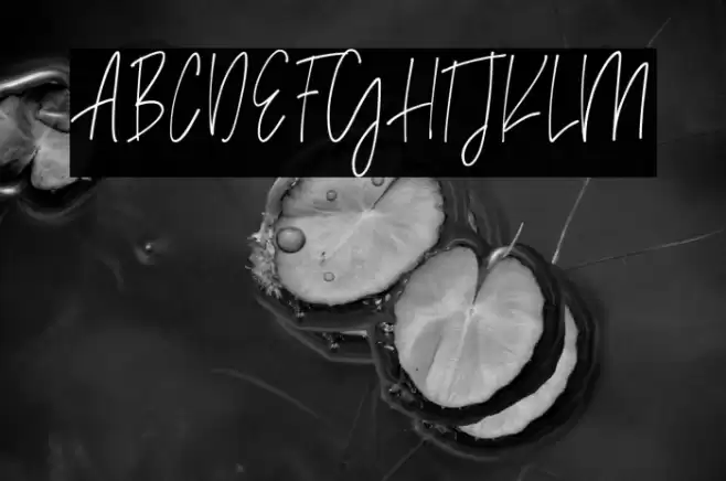 Madison Avenue Font examples