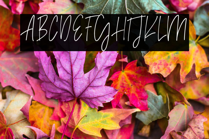 Madison Avenue Example 3