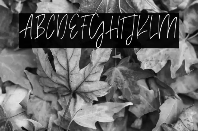 Madison Avenue Font examples