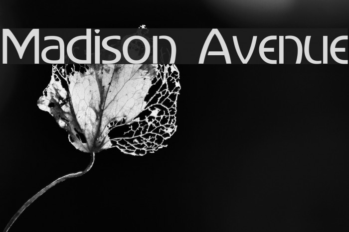 Madison Avenue Caratteri examples