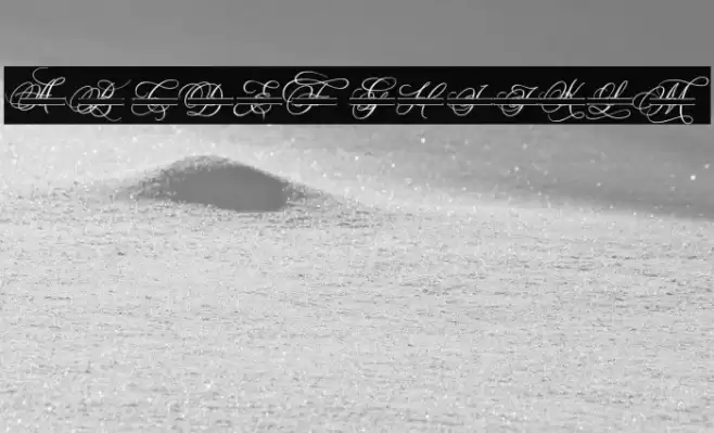 Madison Monogram Font examples