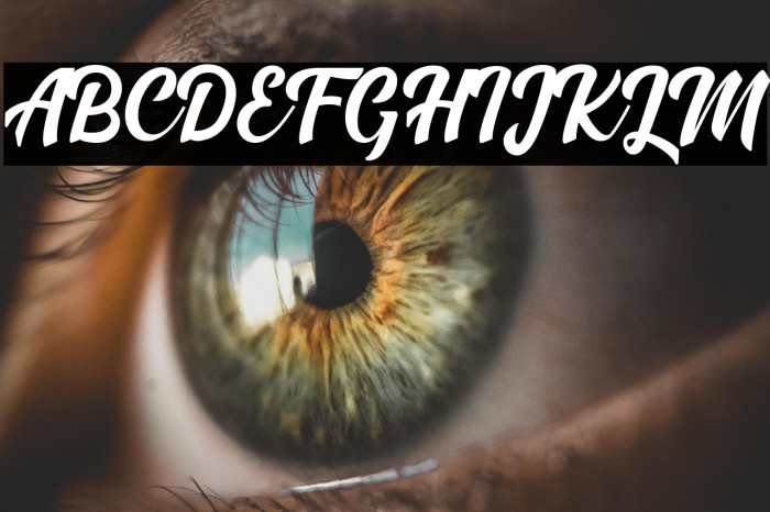 Madison Script Example 1