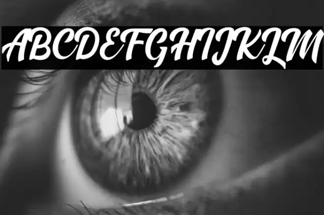 Madison Script 字体 examples