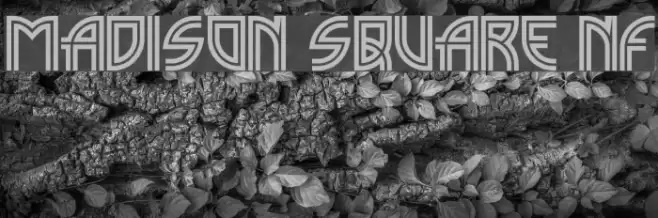 Madison Square NF Шрифта examples