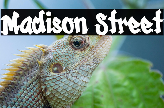 Madison Street Example 1