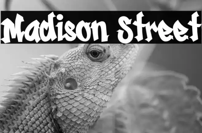 Madison Street Example 1