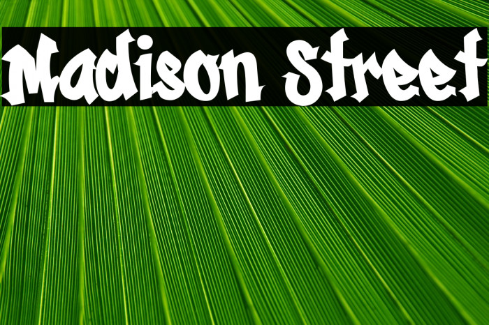 Madison Street Example 2