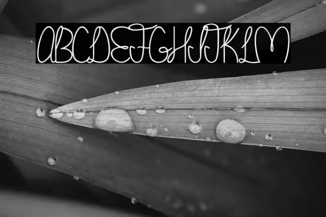 Madison Font examples