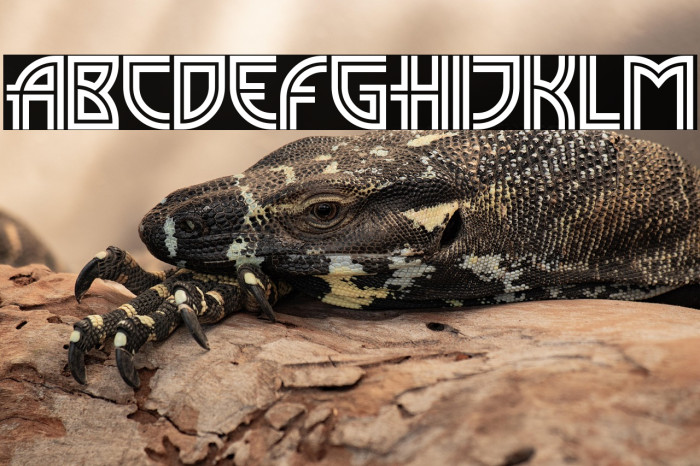 MadisonSquare Incised Example 1