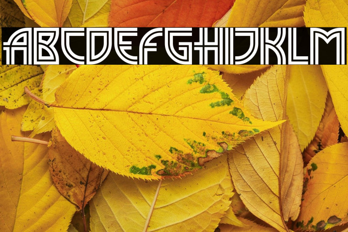 MadisonSquare Incised Example 2