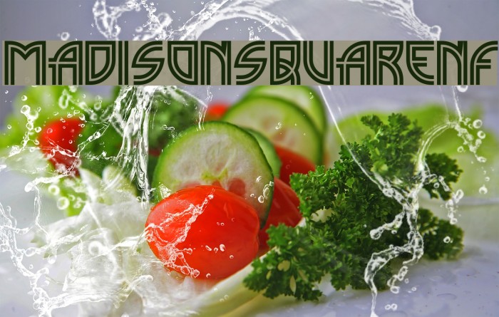 MadisonSquareNF Font examples