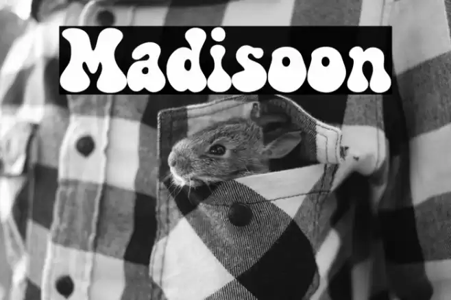 Madisoon Font examples