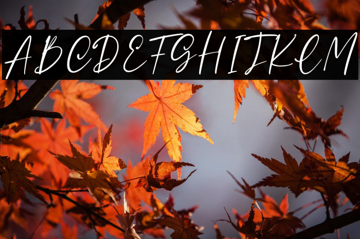 Madisson Personal Use Example 1