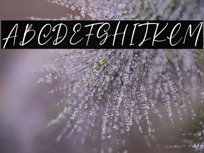 Madisson Personal Use Example 3