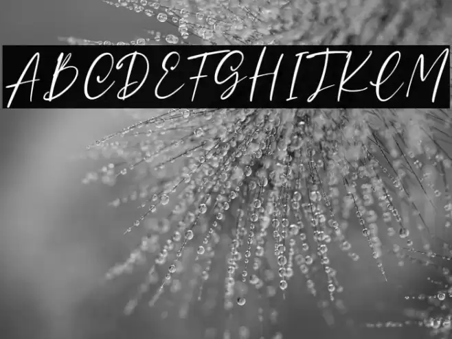 Madisson Personal Use Font examples