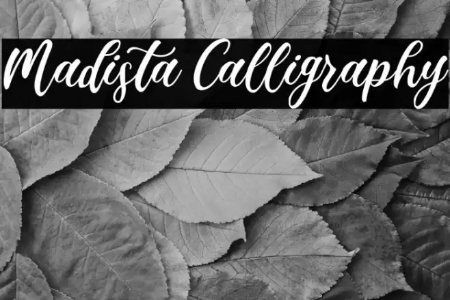 Madista Calligraphy Font examples