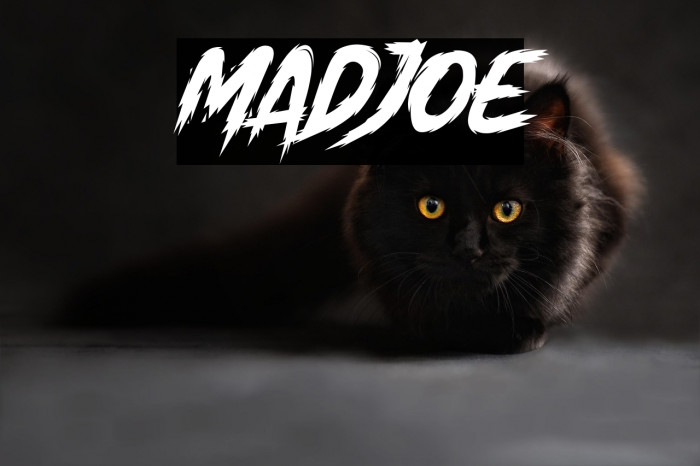 Madjoe Example 3