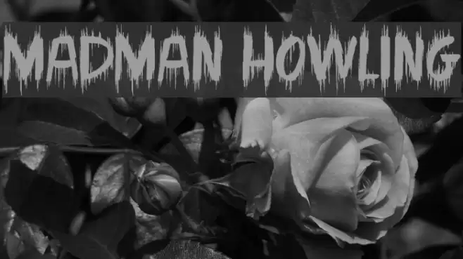 Madman Howling Font examples