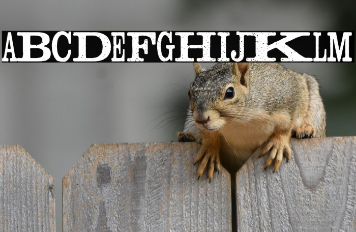 Madness Press Example 2