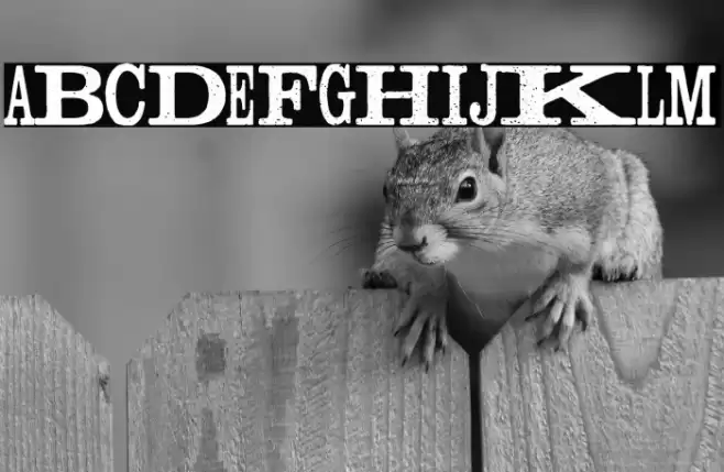 Madness Press Font examples