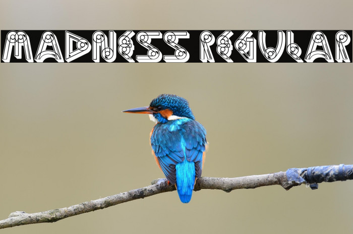 Madness Regular Example 1