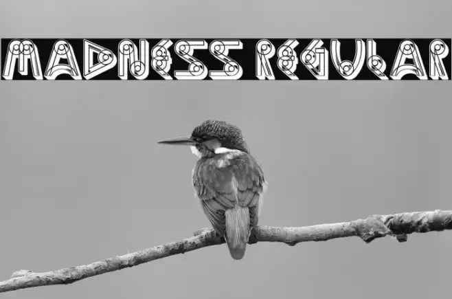 Madness Regular Font examples