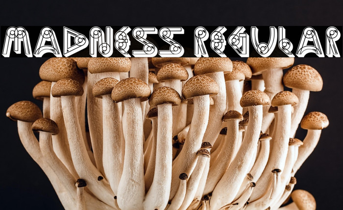 Madness Regular Example 3