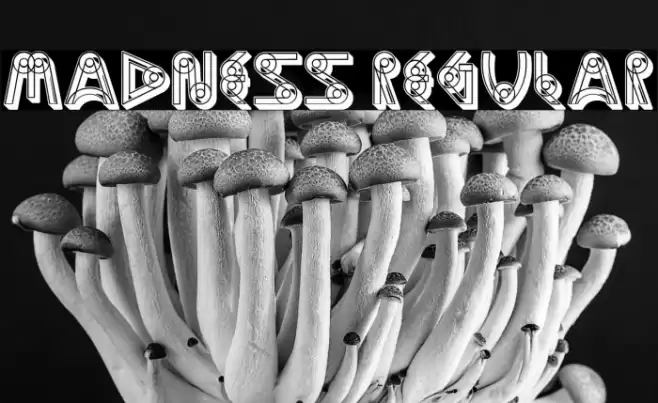 Madness Regular Font examples