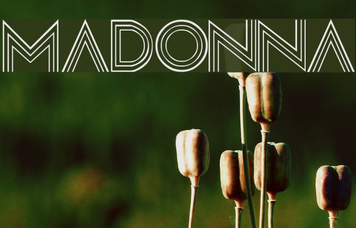 Madonna फ़ॉन्ट examples