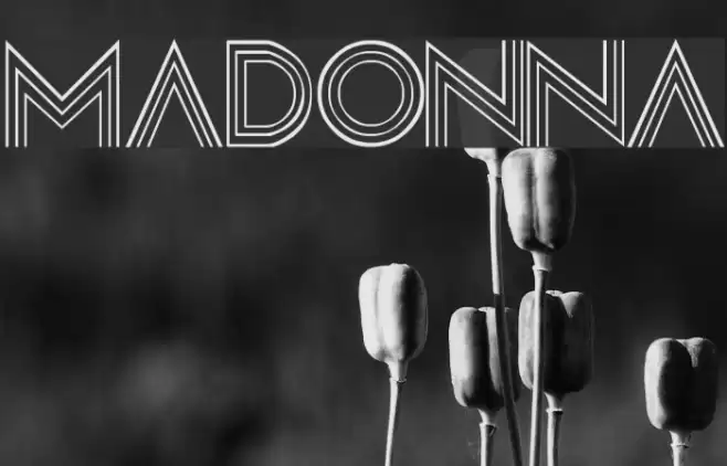 Madonna Font examples