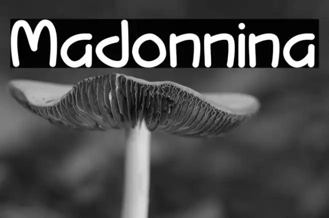 Madonnina Example 3