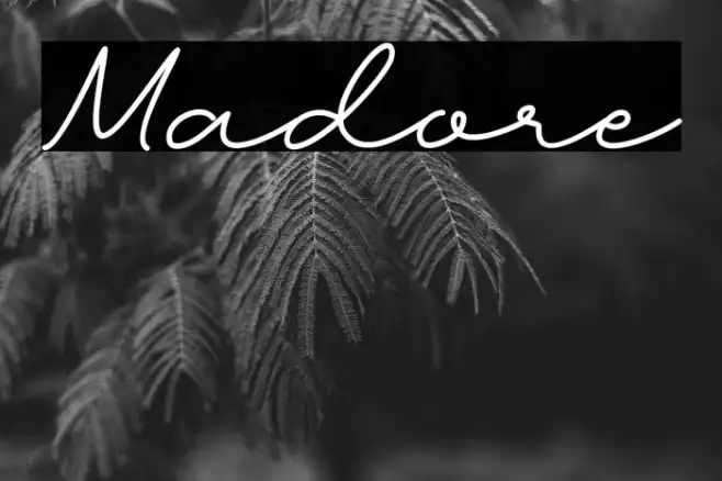 Madore Example 2