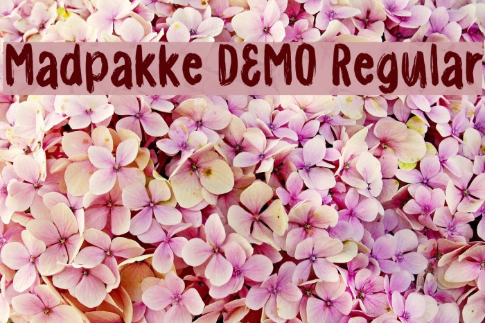 Madpakke DEMO Regular Font examples