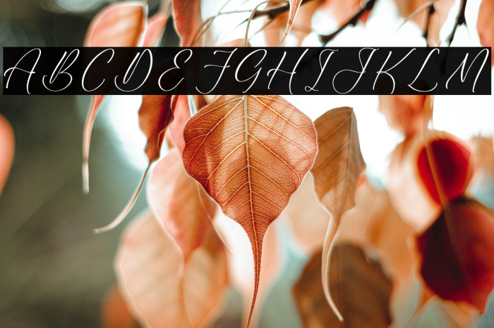 Madraloney Chromila Example 1