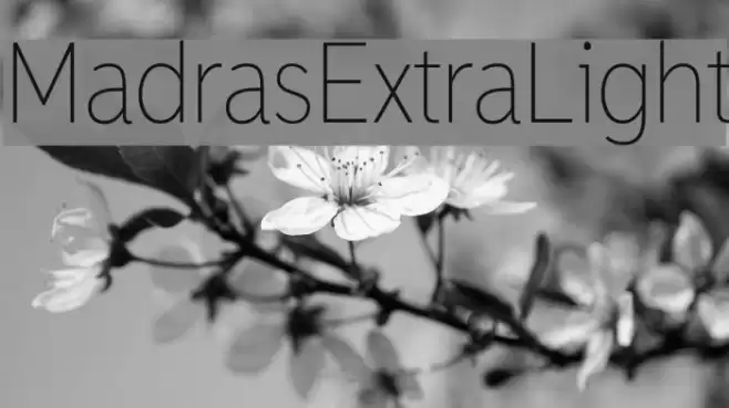 MadrasExtraLight Font examples