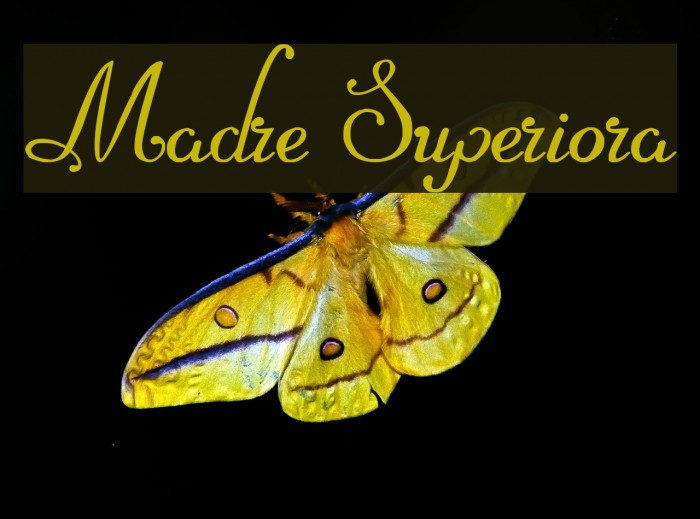 Madre Superiora Font examples