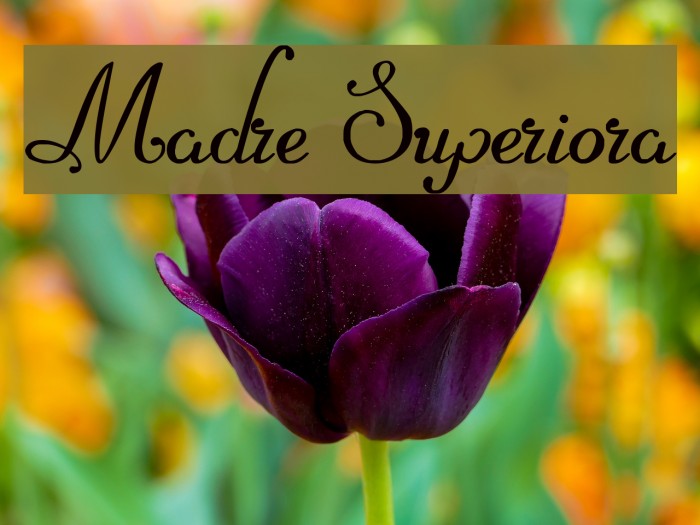 Madre Superiora Font examples