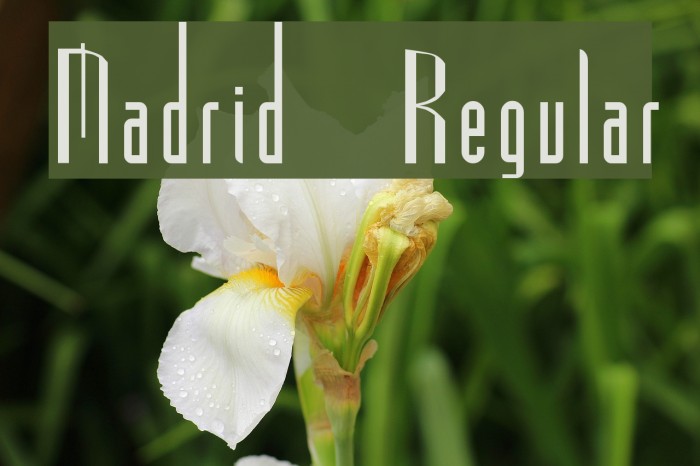 Madrid Regular Font examples