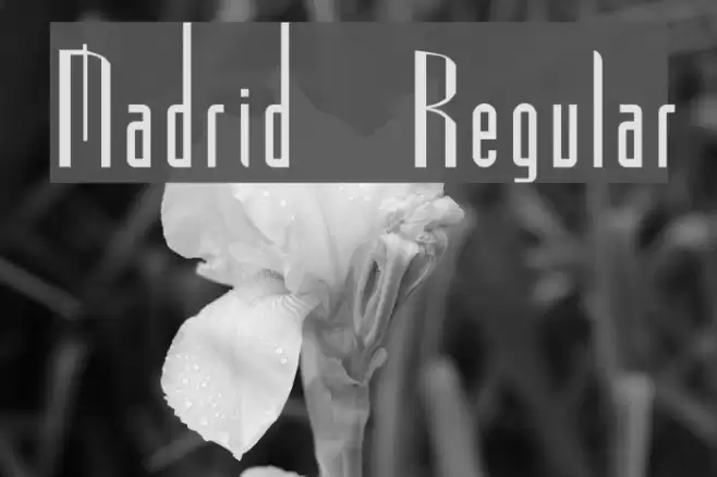 Madrid Regular Caratteri examples