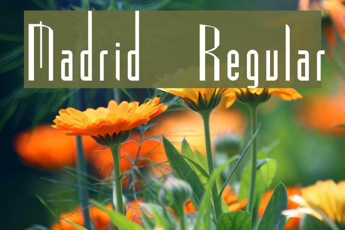 Madrid Regular Font examples