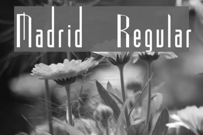 Madrid Regular Caratteri examples